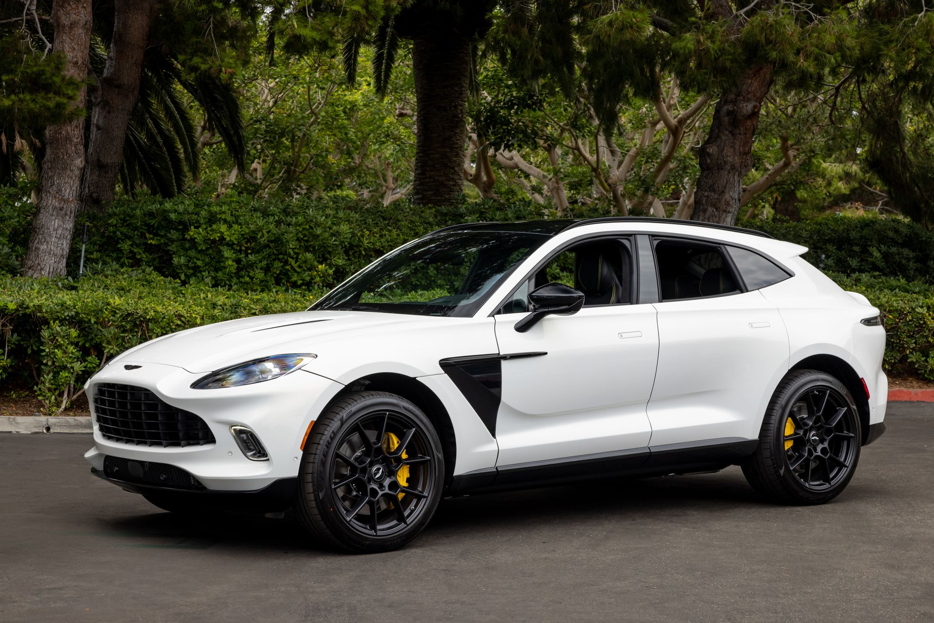 aston martin dbx 2021 SCFVUJAW3MTV02946 image aston martin dbx 2021 SCFVUJAW3MTV02946 image